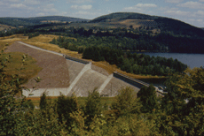 Home Page Image